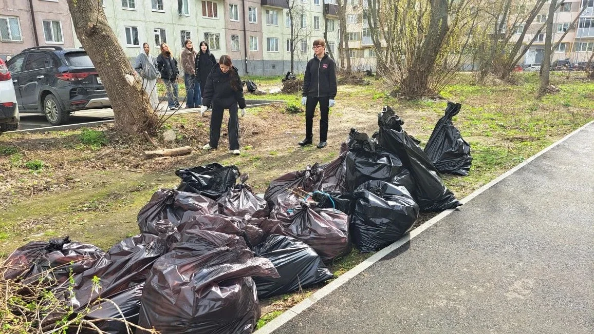 Весенний городской субботник